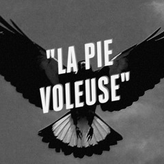 La Pie Voleuse