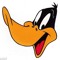 DUCK CHANNEL