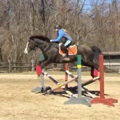 i love music and horses!