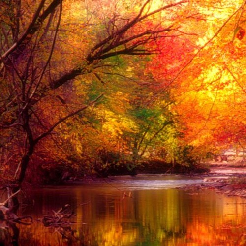 میثم ابراهیمی - جون و دلم ؛ میره برات