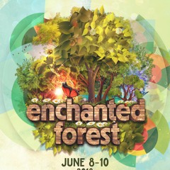 EnchantedForestGathering