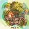 EnchantedForestGathering