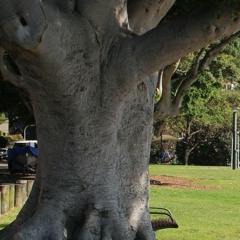 Lizzie Thomson, Sonya Holowell and Melanie Herbert