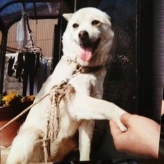 Morocco Blast MIX🇲🇦🚀💖