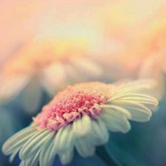 Asmaa Mahmoud