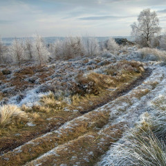 محمود ابراهيم .elbalasy