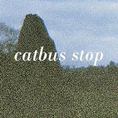 Catbus Stop