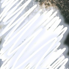 Nonameax