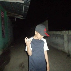 Pejuang Selatan