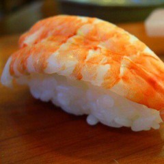 shrimpsushi