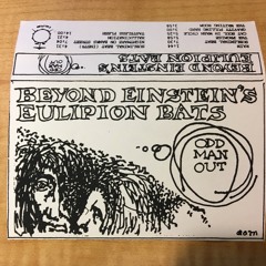 Bill Brandt - The William James Band