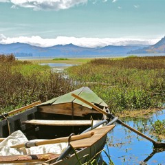 Tributo de los andes - Otto Delgado