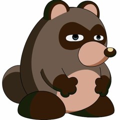 DaRacoon