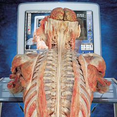 Χάρης Παναγιωτόπουλος