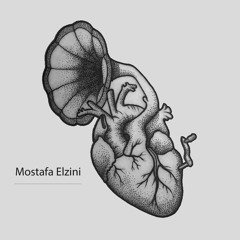 Mostafa Elzini ✪