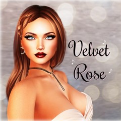 Velvet Rose