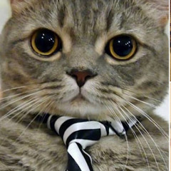 bLACK sCREEN oF dEATH