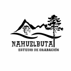 Estudio Nahuelbuta