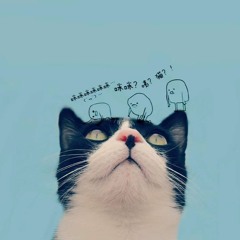 huy17t