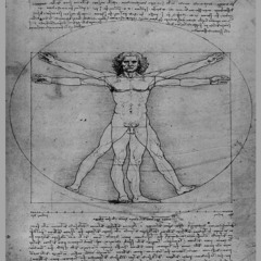 The Vitruvian Man