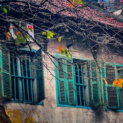 Vếu Vú Vũ