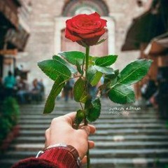 الذئاب الجائعة