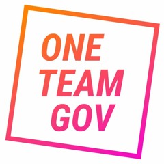 One Team Gov