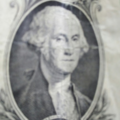 Donjaguar
