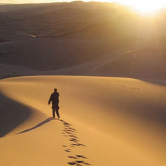 Traveller