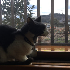 神おむつ