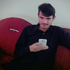 Ameer Hassan Leghari