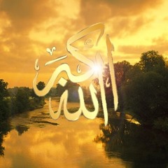 Hani Mohmed
