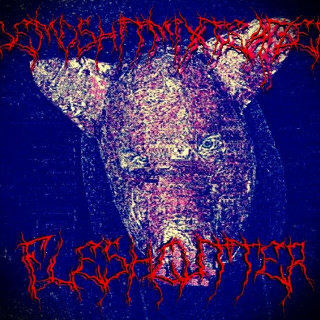 Stream FLESHCUTTER music | Listen to songs, albums, playlists for free ...