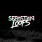 Sebastian Loops