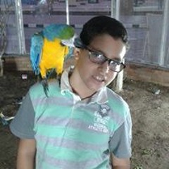Islam Nader