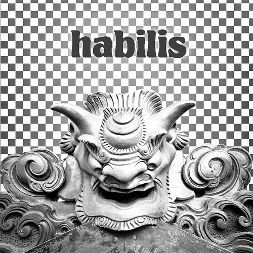 habilis’s avatar