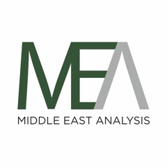 Middle East North Africa: An Analysis