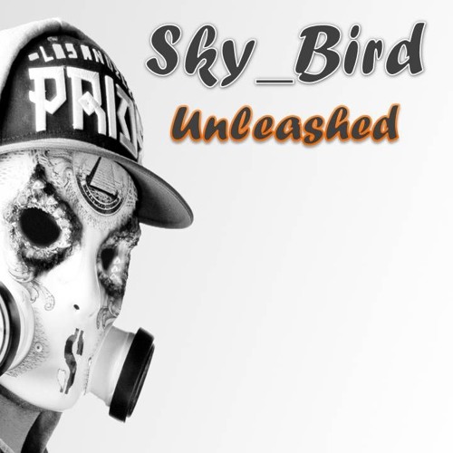 SKY_BIRD’s avatar