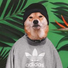 Knut