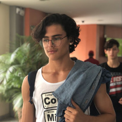 joao gabriel moreira