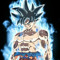 Limit Breaker Goku