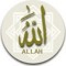 User 516103701