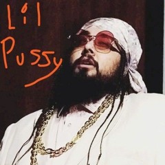 lil pussy