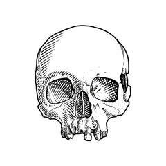 decayingraphics