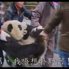 Daniel Zhang