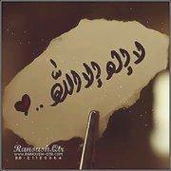 EngineerAhmed Elbagory