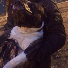 Nikita
