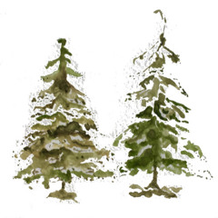 Taxumajehjeh Koosen Zoe