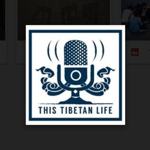 This Tibetan Life’s avatar
