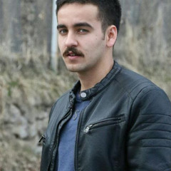 Amir Zarbi